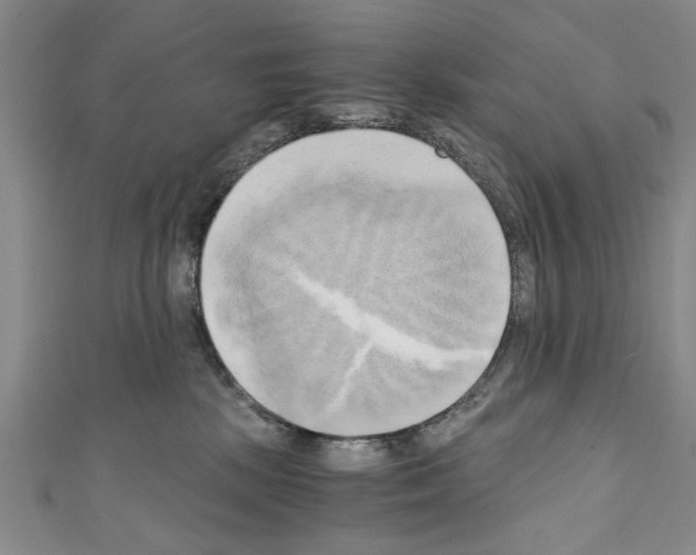 X0000110320281200907021208