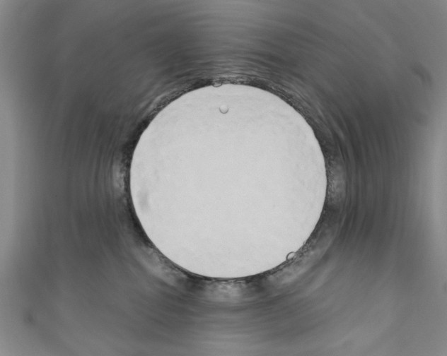 X0000110320282200907021208