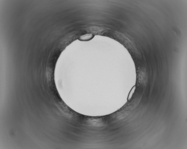 X0000110320283200907021208