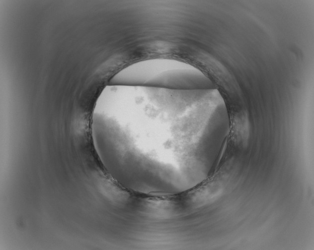 X0000110320284200907021208