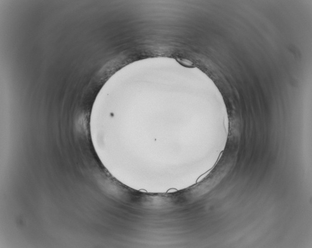 X0000110320286200907021208