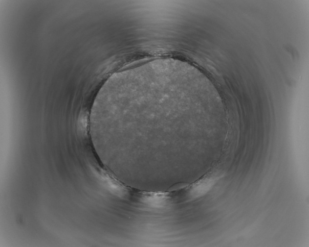 X0000110320288200907021208