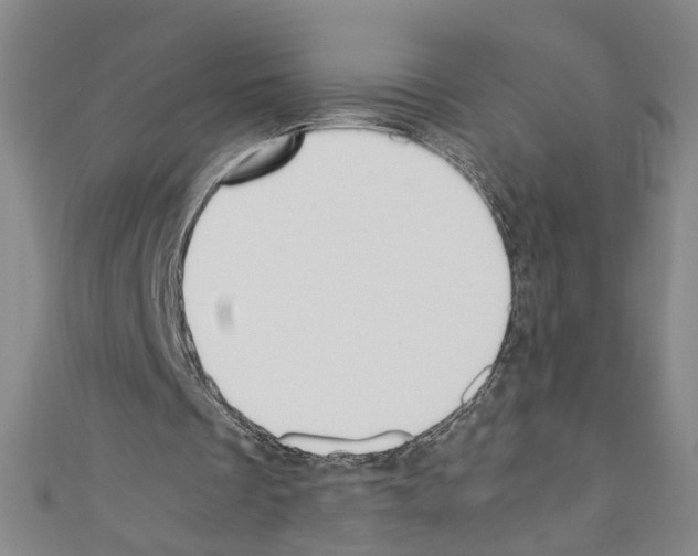 X0000110320289200907021207