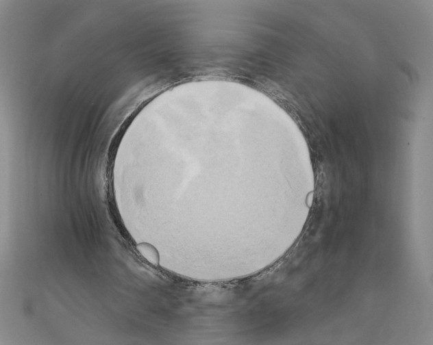 X0000110320290200907021207