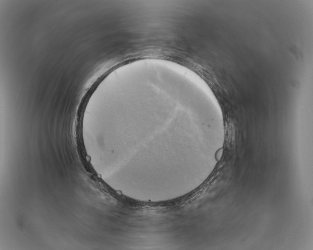 X0000110320292200907021207