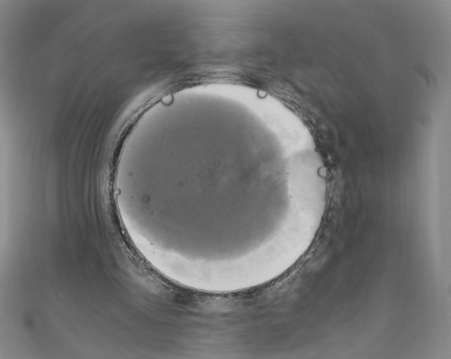 X0000110320293200907021207