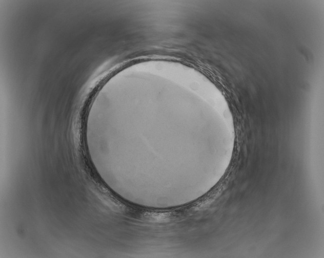 X0000110320295200907021207