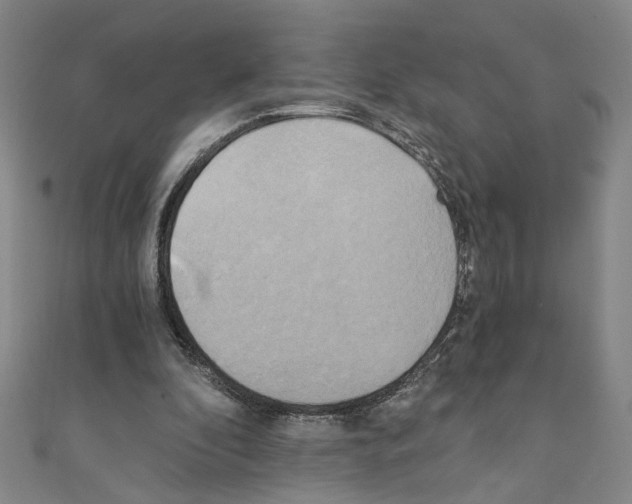 X0000110320296200907021207