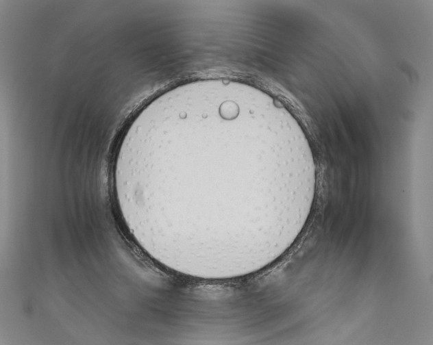 X0000110320298200907021207