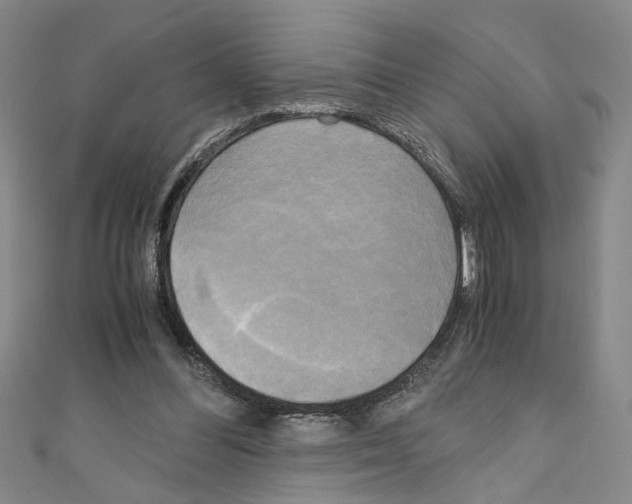 X0000110320300200907021207