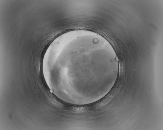 X0000110320301200907021207