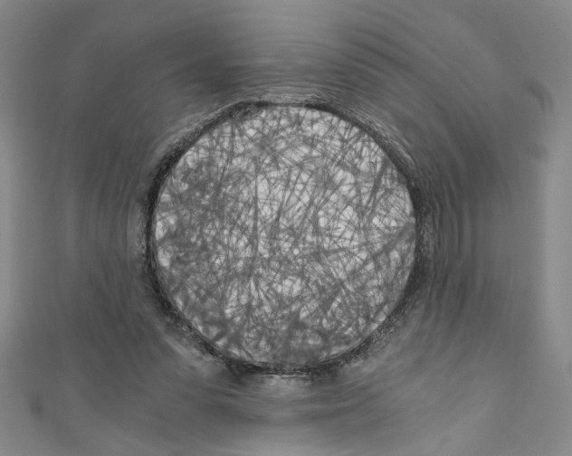 X0000110320303200907021207