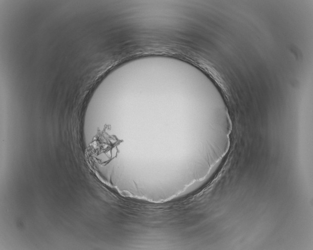 X0000110320305200907021207