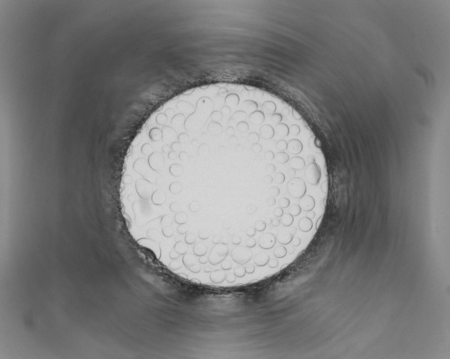 X0000110320307200907021207