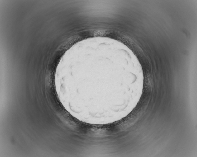 X0000110320311200907021207