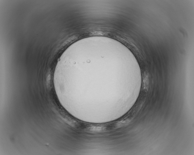 X0000110320314200907021207