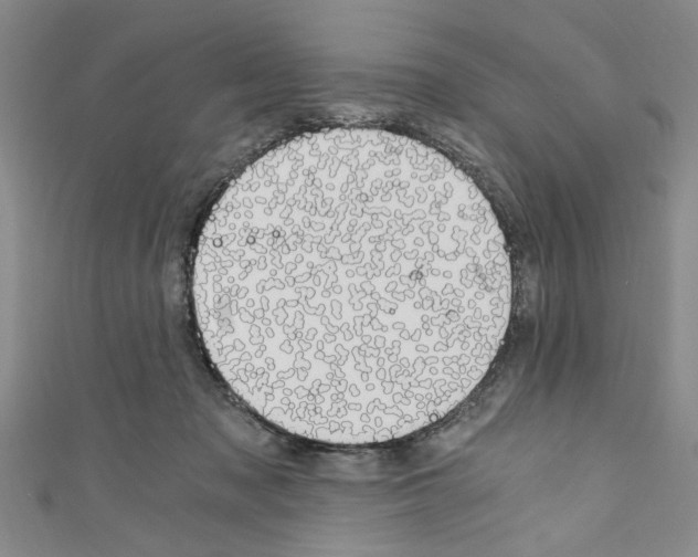 X0000110320317200907021207