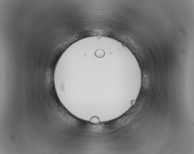 X0000110320318200907021207