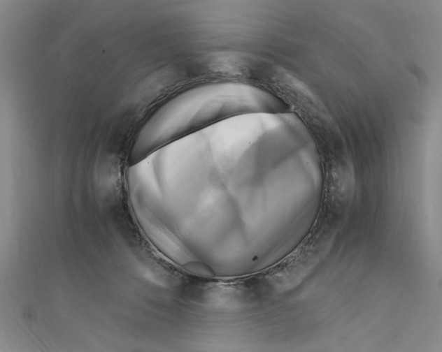 X0000110320320200907021207