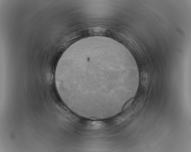 X0000110320324200907021207