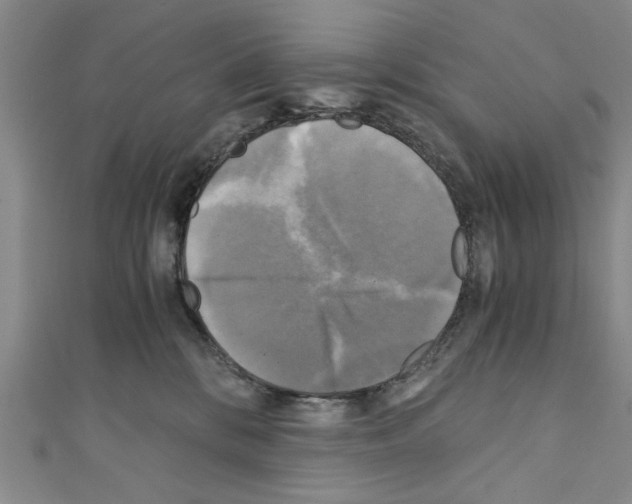 X0000110320328200907021207