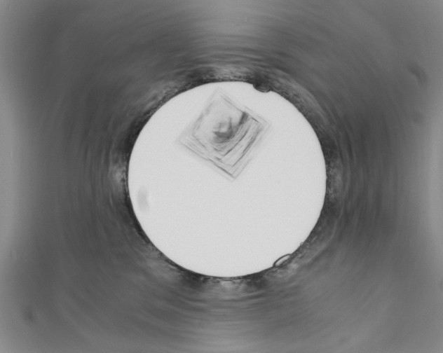 X0000110320329200907021207