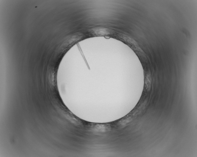 X0000110320330200907021207