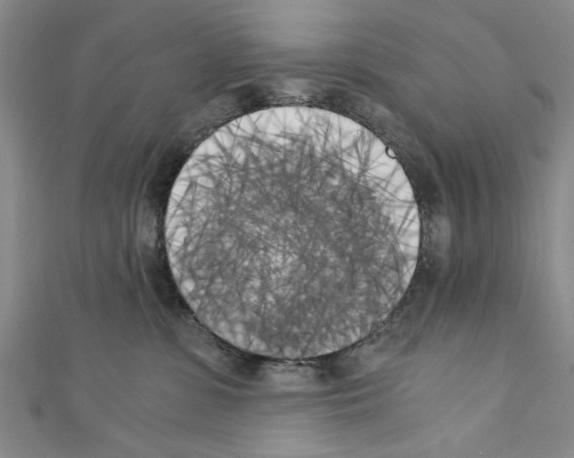 X0000110320331200907021207