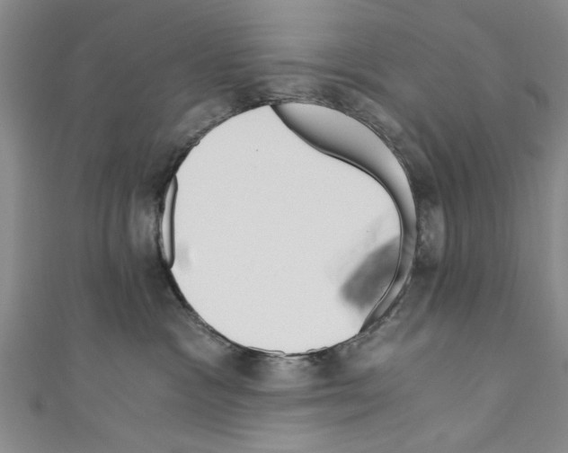 X0000110320333200907021207