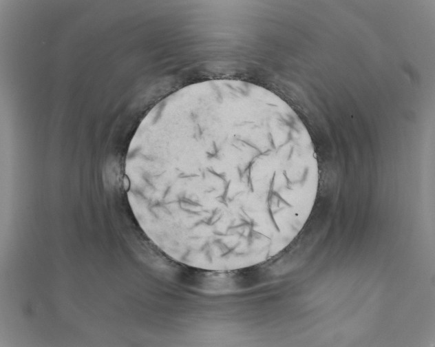 X0000110320335200907021207