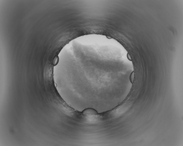 X0000110320336200907021207