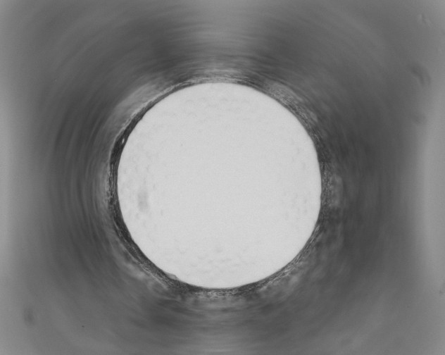 X0000110320338200907021206