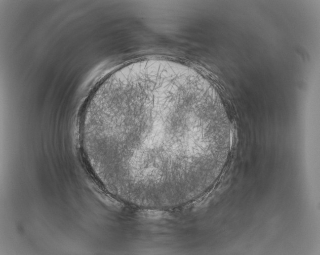 X0000110320339200907021206