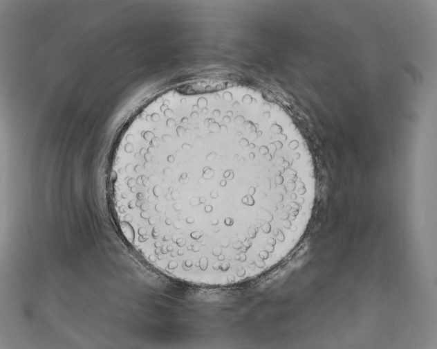 X0000110320341200907021206