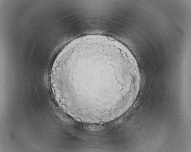 X0000110320345200907021206