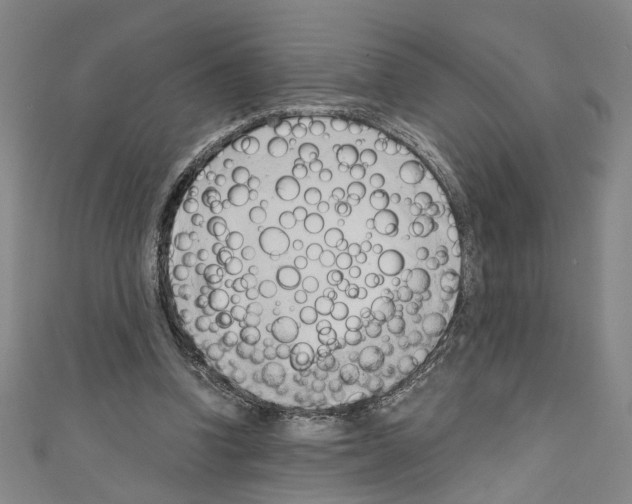 X0000110320346200907021206