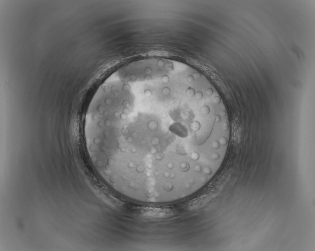 X0000110320347200907021206