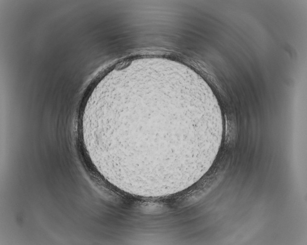 X0000110320348200907021206