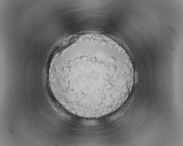 X0000110320349200907021206