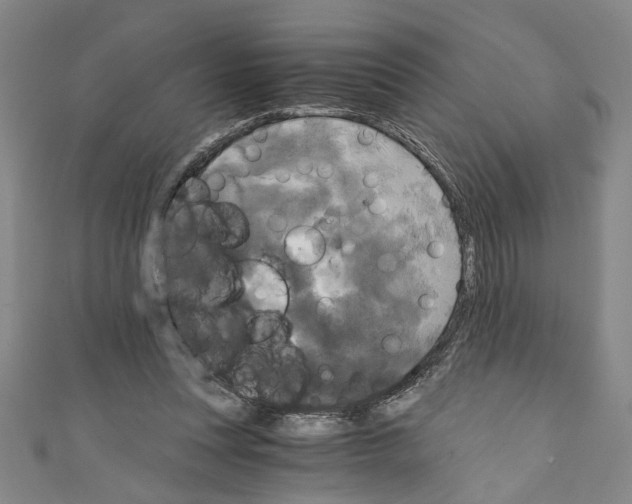 X0000110320351200907021206