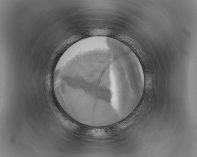 X0000110320353200907021206