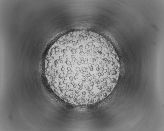 X0000110320354200907021206