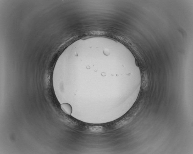 X0000110320355200907021206