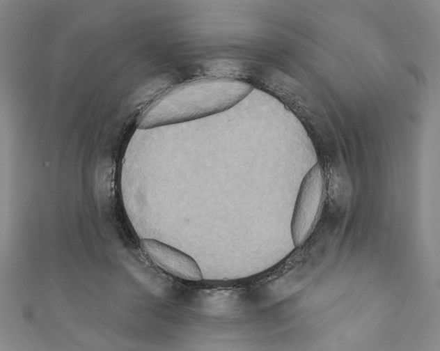 X0000110320356200907021206