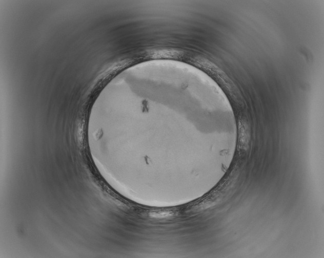 X0000110320357200907021206