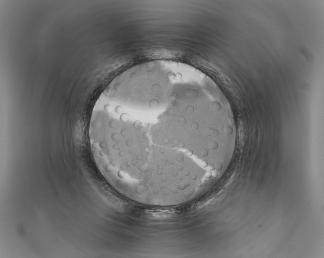 X0000110320359200907021206