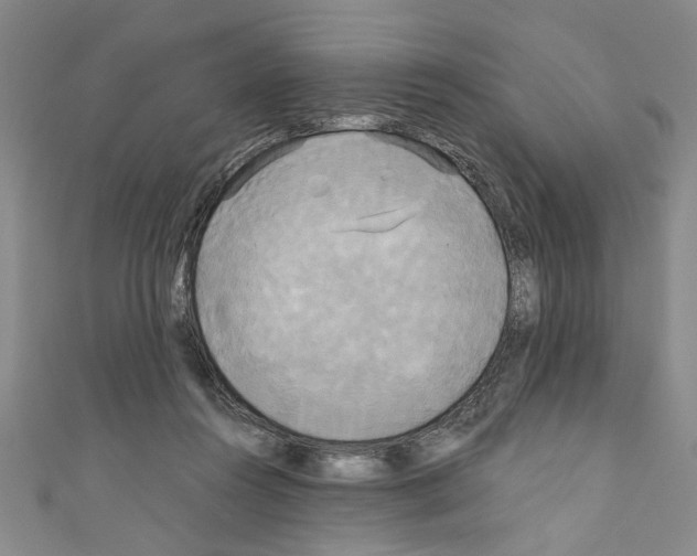 X0000110320360200907021206