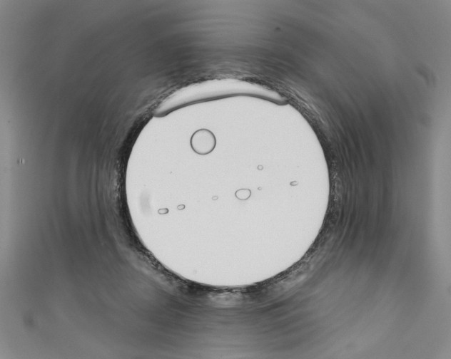 X0000110320362200907021207