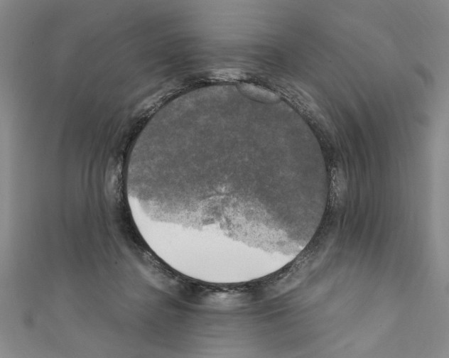 X0000110320364200907021207