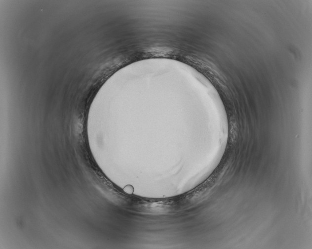 X0000110320365200907021207